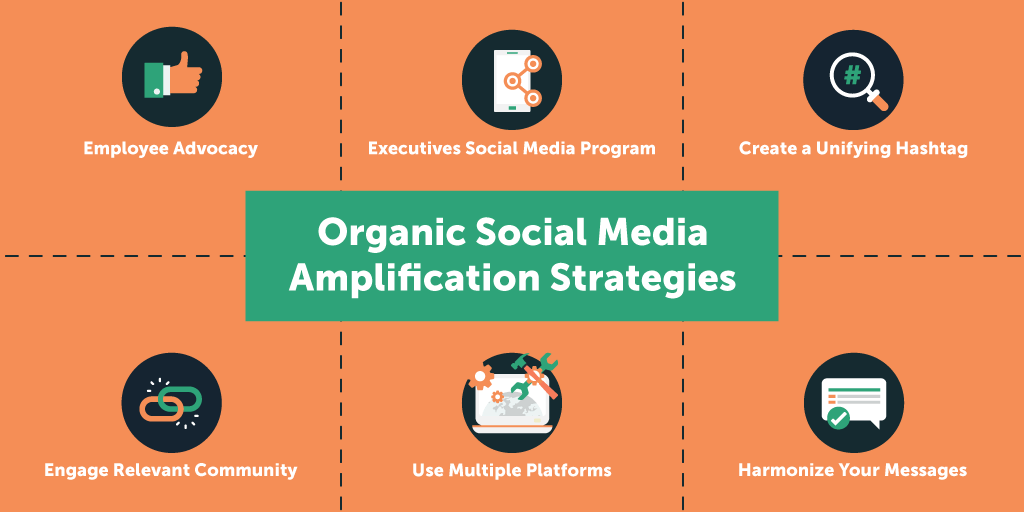 The Complete Guide To Social Media Amplification