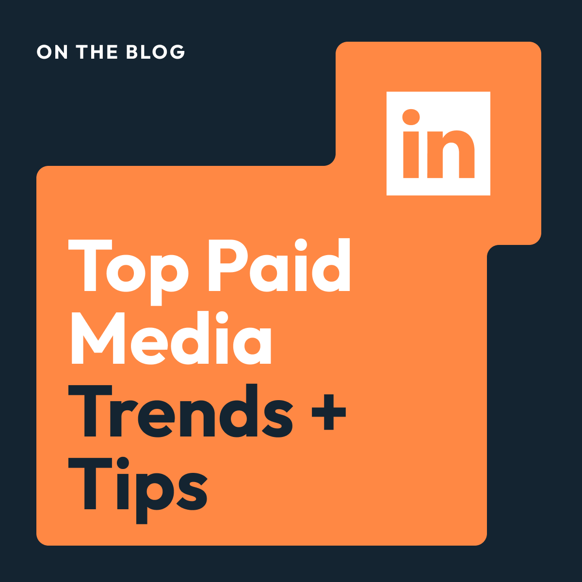 paid-media-trends