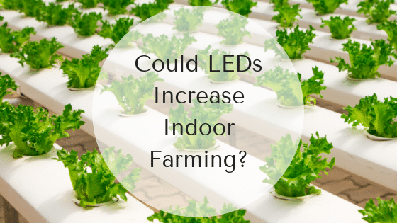 Could Leds Increase Indoor Farming? 