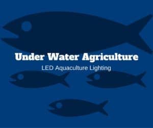 LED Aquaculture Lighting
