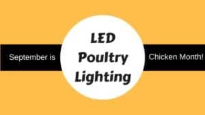 LED poultry lighting