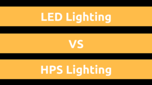 LEDs vs HPS Lighting