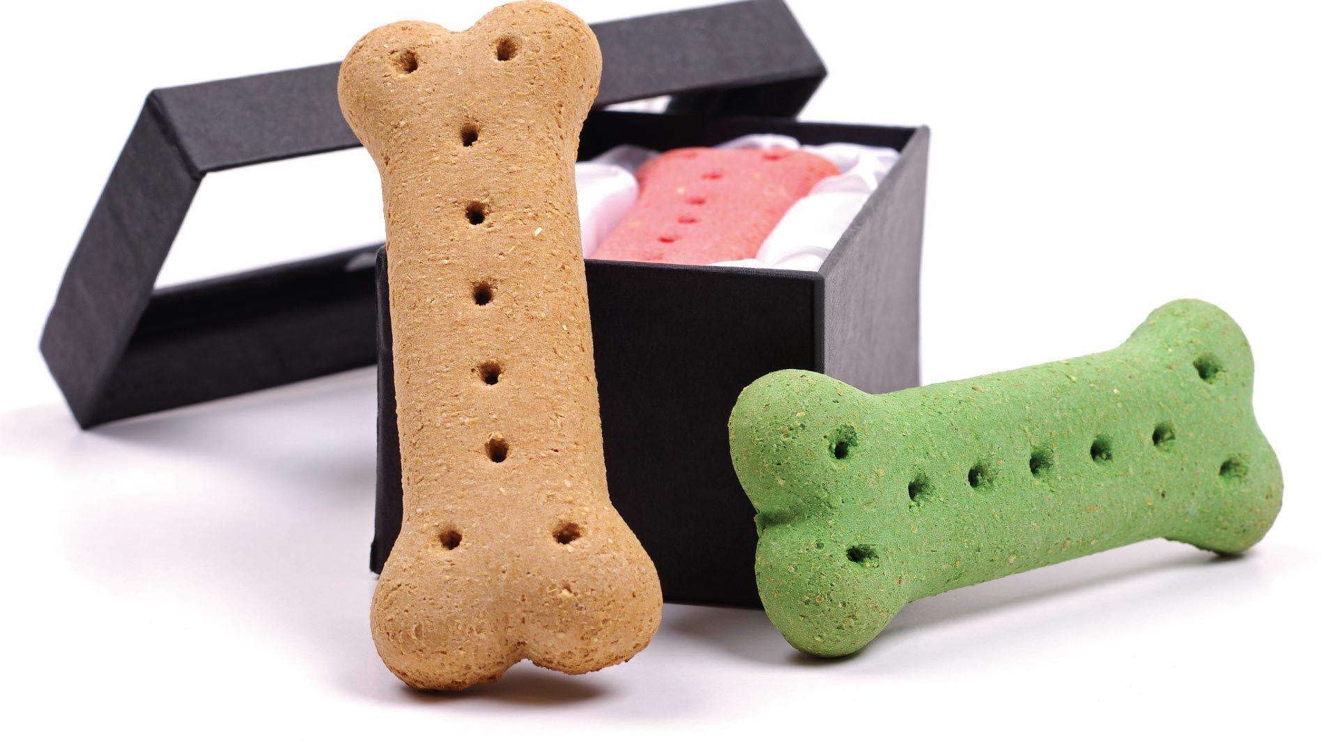 Top 20 Best Online Pet Stores Sites Ranked 2021