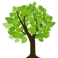 Best Gardening Websites