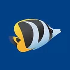 Best Online Pet Stores