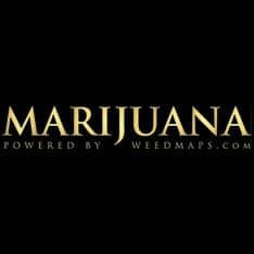 Best Marijuana Websites