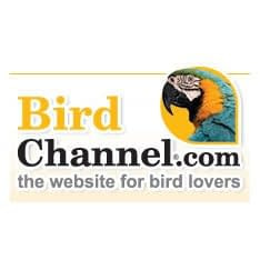 Best Birding Websites