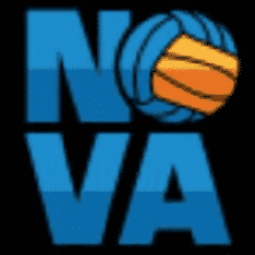 Best Volleyball Websites