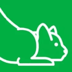 Best Online Pet Stores