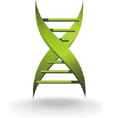Best Medical News Websites