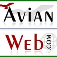 Best Birding Websites