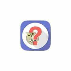 Top Fun Quiz Sites
