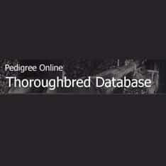 Best Horse Websites
