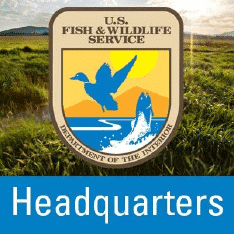 Top Environmental Sites