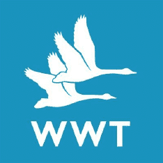 Best Birding Websites