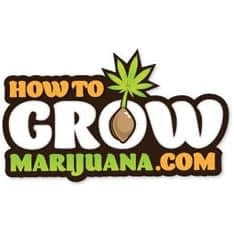 Best Marijuana Websites