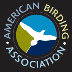 Best Birding Websites