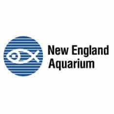 Best Aquarium Websites
