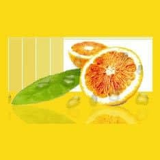 Best Nutrition Websites