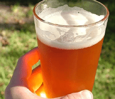 Best Beer Websites