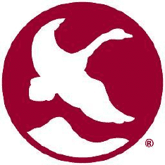 Best Outdoor Gear Stores