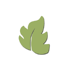 Best Genealogy Sites