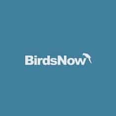 Best Birding Websites