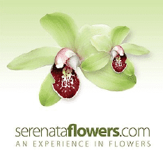 Best Online Flower Delivery Services