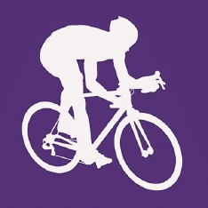 Best Online Bike Stores