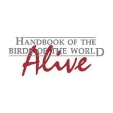 Best Birding Websites
