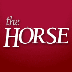 Best Horse Websites