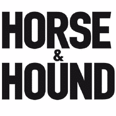Best Horse Websites