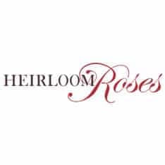 Best Online Flower Delivery Services