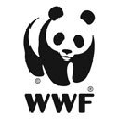 Best Nonprofit Websites