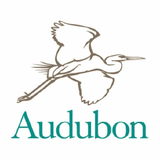 Best Birding Websites