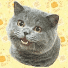 Top Funniest Websites for the Best Humor