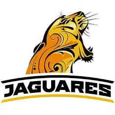 Best Rugby Websites
