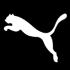 Top Shoe Brands