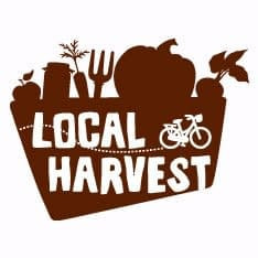 Best Online Grocery Shopping Stores