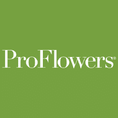 Best Online Flower Delivery Services
