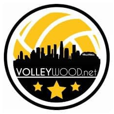 Best Volleyball Websites