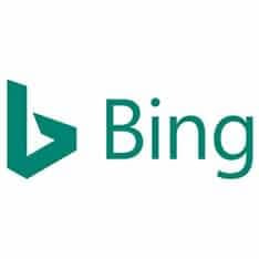 Top Search Engines
