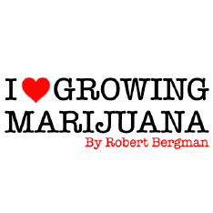 Best Marijuana Websites