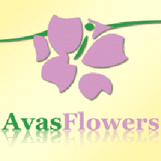 Best Online Flower Delivery Services