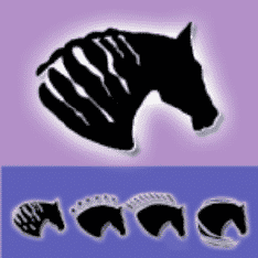 Best Horse Websites