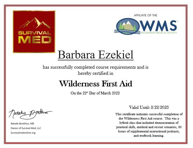 WFA Certificate for Video