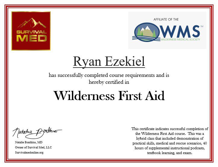 wfa example pic
